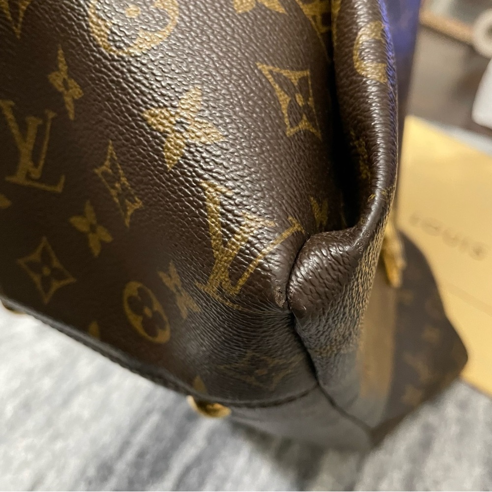 Louis Vuitton Artsy MM - Picture 9 of 16